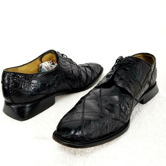 belvedere studio shoes